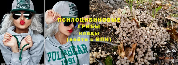 PSILOCYBIN Абинск