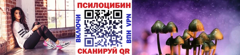 продажа наркотиков  Нальчик  Галлюциногенные грибы Psilocybine cubensis 